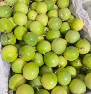 Kỹ Thuật Trồng Chanh Dây Cho Năng Xuất Cao Cho Bà Con