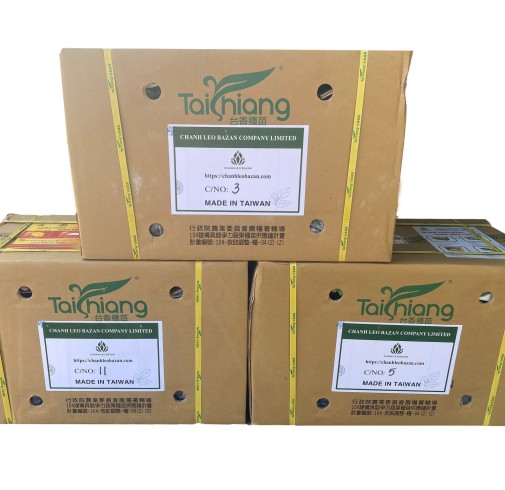 CÔNG TY  GIỐNG CHANH DÂY CHANH LEO BAZAN